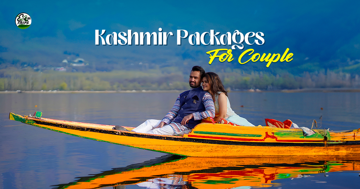 Best Places to Visit in Kashmir In Summer: Why EnliveTrips Offers the Best Kashmir Tour Package 